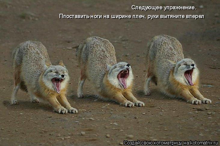 Следующее упражнение. Ппоставить ноги на ширине плеч, руки вытяните вперел... Котоматрица: Следующее упражнение. Ппоставить ноги на ширине плеч, руки вытяните вперел