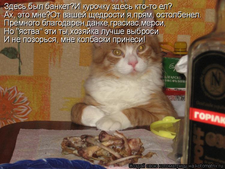 Здесь был банкет?И курочку здесь кто-то ел? Ах, это мне?От вашей щедрости я,прям, остолбенел. Премног... Котоматрица: Здесь был банкет?И курочку здесь кто-то ел? Ах, это мне?От вашей щедрости я,прям, остолбенел. Премного благодарен,данке,грасиас,мерси, Но "яст