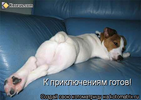 К приключениям готов!... Котоматрица: К приключениям готов!
