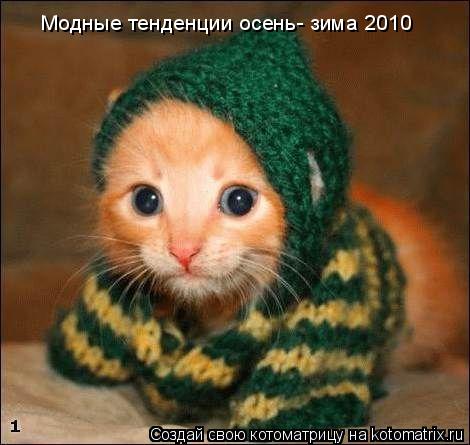 Модные тенденции осень- зима 2010... Котоматрица: Модные тенденции осень- зима 2010