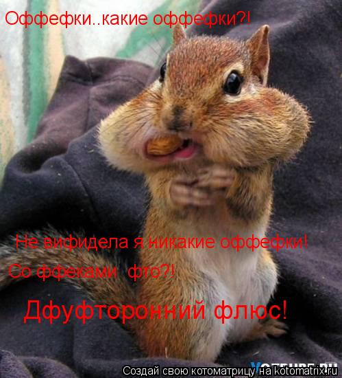 Оффефки..какие оффефки?! Не вифидела я никакие оффефки! Со ффеками фто?! Дфуфторонний флюс!... Котоматрица: Оффефки..какие оффефки?! Не вифидела я никакие оффефки! Со ффеками фто?! Дфуфторонний флюс!