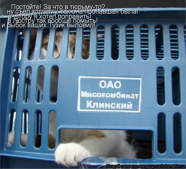 Постойте! За что в тюрьму-то? ну съел котлетку, так она пропавшая была! а штору я хотел поправить! а ... Котоматрица: Постойте! За что в тюрьму-то? ну съел котлетку, так она пропавшая была! а штору я хотел поправить! а люстру так вообще помыть! и рыбок ваших Ту