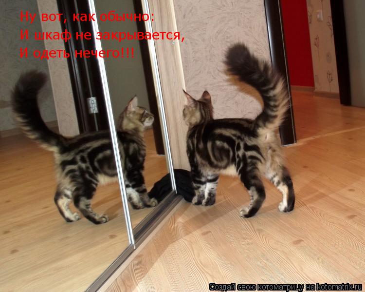 Ну вот, как обычно: И шкаф не закрывается, И одеть нечего!!!... Котоматрица: Ну вот, как обычно: И шкаф не закрывается, И одеть нечего!!!