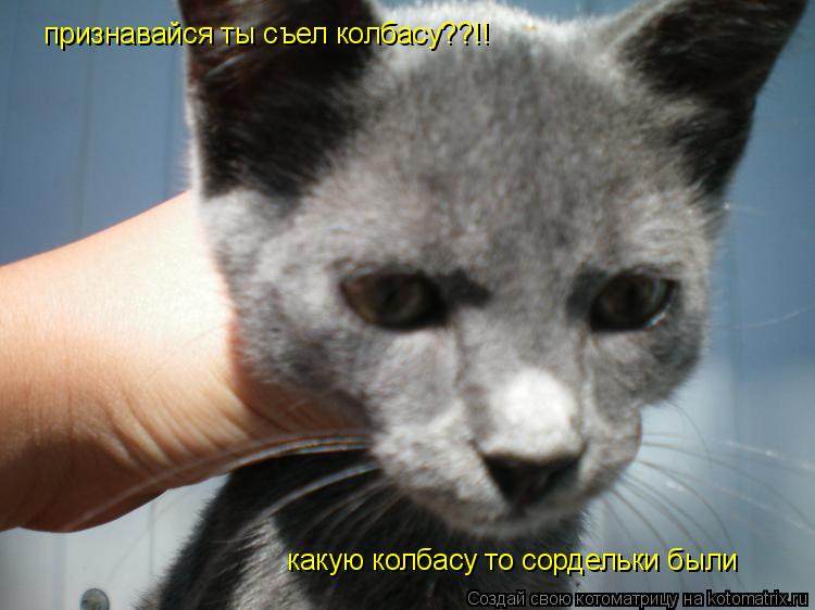 признавайся ты съел колбасу??!! какую колбасу то сордельки были... Котоматрица: признавайся ты съел колбасу??!! какую колбасу то сордельки были