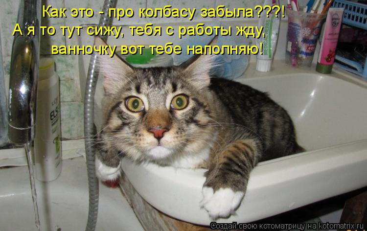 Как это - про колбасу забыла???! А я то тут сижу, тебя с работы жду, ванночку вот тебе наполняю!... Котоматрица: Как это - про колбасу забыла???! А я то тут сижу, тебя с работы жду, ванночку вот тебе наполняю!