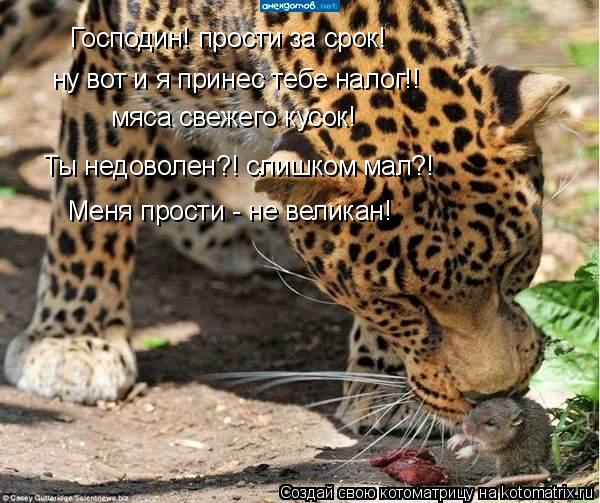 ну вот и я принес тебе налог!! мяса свежего кусок! Ты недоволен?! слишком мал?! Меня прости - не вел... Котоматрица: ну вот и я принес тебе налог!! мяса свежего кусок! Ты недоволен?! слишком мал?! Меня прости - не великан! Господин! прости за срок!