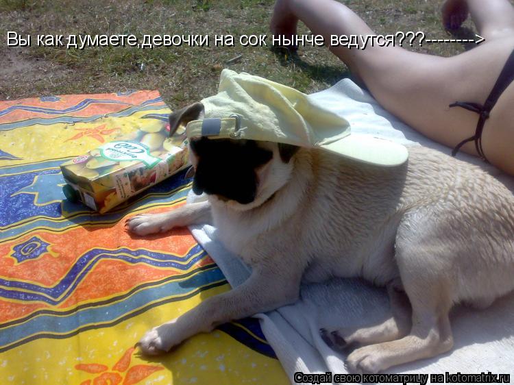 Вы как думаете,девочки на сок нынче ведутся???-------->... Котоматрица: Вы как думаете,девочки на сок нынче ведутся???-------->