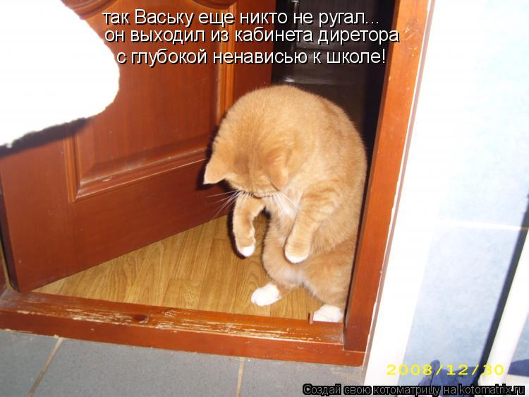так Ваську еще никто не ругал... с глубокой ненависью к школе! он выходил из кабинета диретора... Котоматрица: так Ваську еще никто не ругал... с глубокой ненависью к школе! он выходил из кабинета диретора