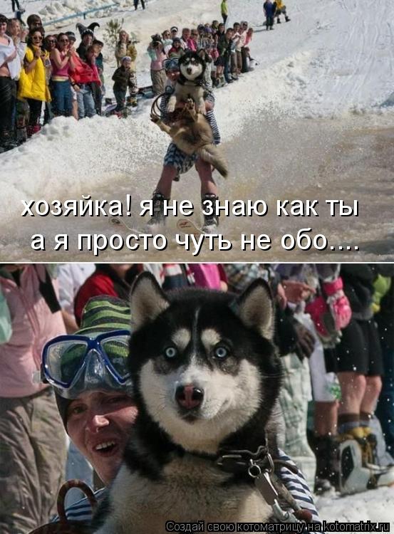 хозяйка! я не знаю как ты а я просто чуть не обо....... Котоматрица: хозяйка! я не знаю как ты а я просто чуть не обо....