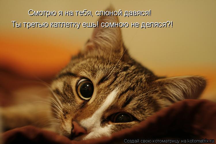 Ты третью катлетку ешь! сомною не деляся?! Смотрю я на тебя, слюной давяся!... Котоматрица: Ты третью катлетку ешь! сомною не деляся?! Смотрю я на тебя, слюной давяся!