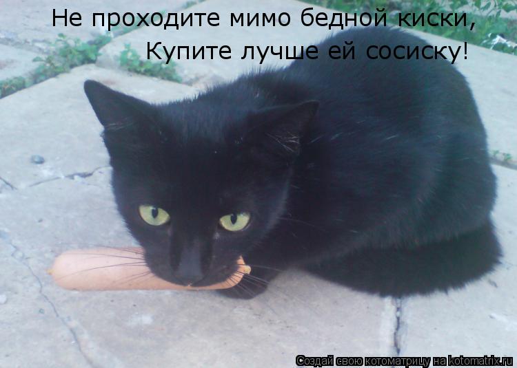 Не проходите мимо бедной киски, Купите лучше ей сосиску!... Котоматрица: Не проходите мимо бедной киски, Купите лучше ей сосиску!