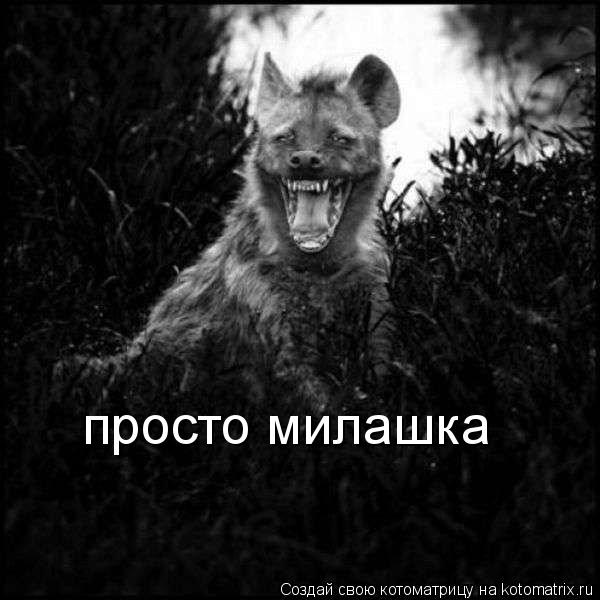 просто милашка... Котоматрица: просто милашка