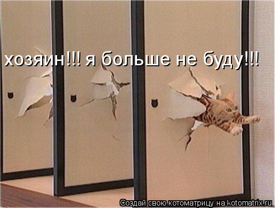 хозяин!!! я больше не буду!!!... Котоматрица: хозяин!!! я больше не буду!!!
