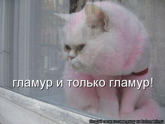 гламур и только гламур!... Котоматрица: гламур и только гламур!