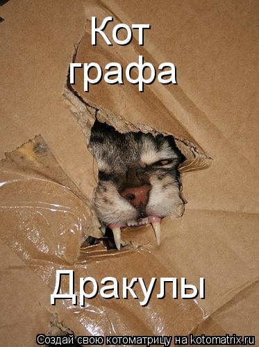 Кот графа Дракулы... Котоматрица: Кот графа Дракулы
