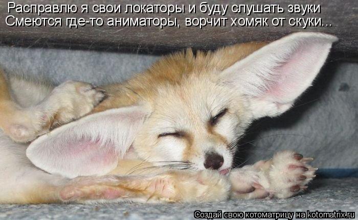 Расправлю я свои локаторы и буду слушать звуки Смеются где-то аниматоры, ворчит хомяк от скуки...... Котоматрица: Расправлю я свои локаторы и буду слушать звуки Смеются где-то аниматоры, ворчит хомяк от скуки...