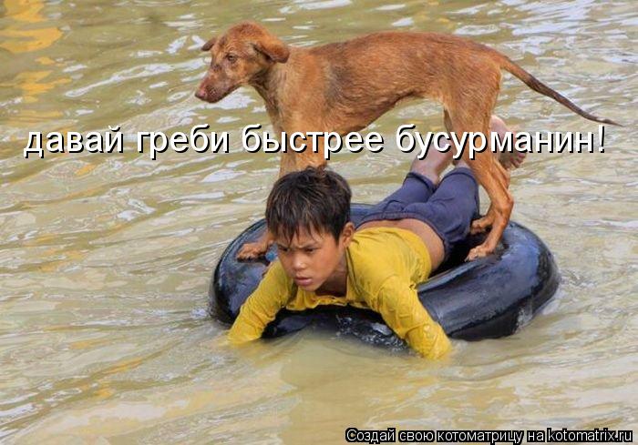 давай греби быстрее бусурманин!... Котоматрица: давай греби быстрее бусурманин!