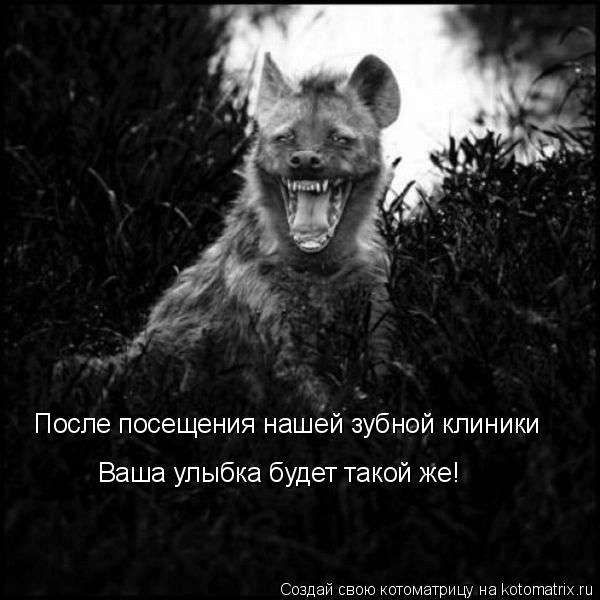 После посещения нашей зубной клиники Ваша улыбка будет такой же!... Котоматрица: После посещения нашей зубной клиники Ваша улыбка будет такой же!