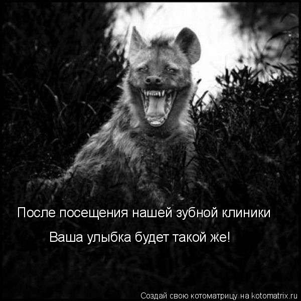 Котоматрица: После посещения нашей зубной клиники Ваша улыбка будет такой же!