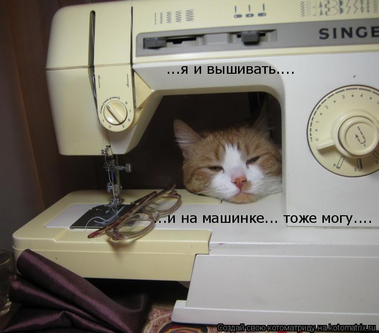 ...я и вышивать.... ...и на машинке... тоже могу....... Котоматрица: ...я и вышивать.... ...и на машинке... тоже могу....