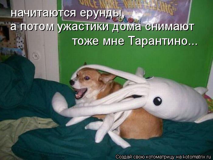 начитаются ерунды, а потом ужастики дома снимают тоже мне Тарантино...... Котоматрица: начитаются ерунды, а потом ужастики дома снимают тоже мне Тарантино...