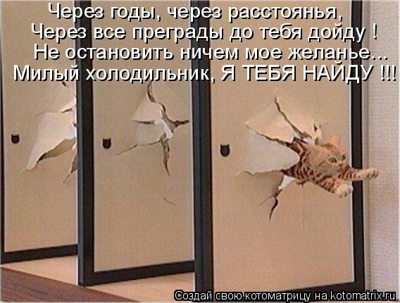 Котоматрица: Через годы, через расстоянья, Через все преграды до тебя дойду ! Не остановить ничем мое желанье... Милый холодильник, Я ТЕБЯ НАЙДУ !!!