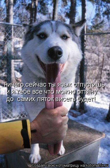 ничего,сейчас ты язык отпустишь и я тебе все что можно оттяну до самих пяток висеть будет!... Котоматрица: ничего,сейчас ты язык отпустишь и я тебе все что можно оттяну до самих пяток висеть будет!