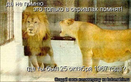 где ты был 25 октября 1967 года? да не помню... это только в сериалах помнят!... Котоматрица: где ты был 25 октября 1967 года? да не помню... это только в сериалах помнят!