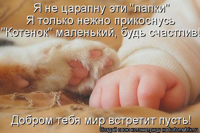 Я не царапну эти 