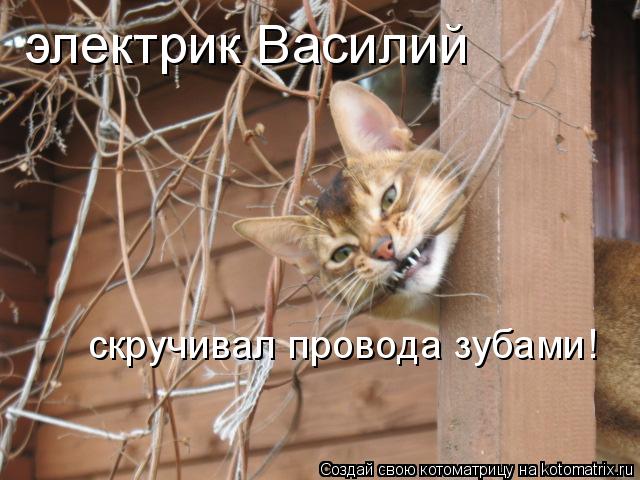 электрик Василий скручивал провода зубами!... Котоматрица: электрик Василий скручивал провода зубами!