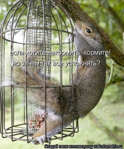 Котоматрица: если хотите накормить -кормите! но зачем так все усложнять?