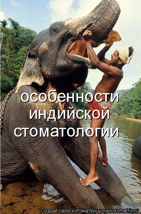 Котоматрица: особенности индийской стоматологии