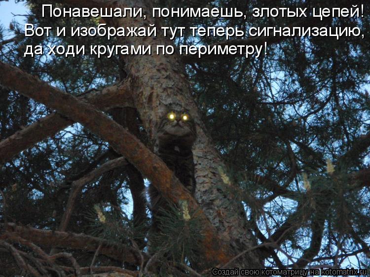Котоматрица: Понавешали, понимаешь, злотых цепей! Вот и изображай тут теперь сигнализацию,  да ходи кругами по периметру!