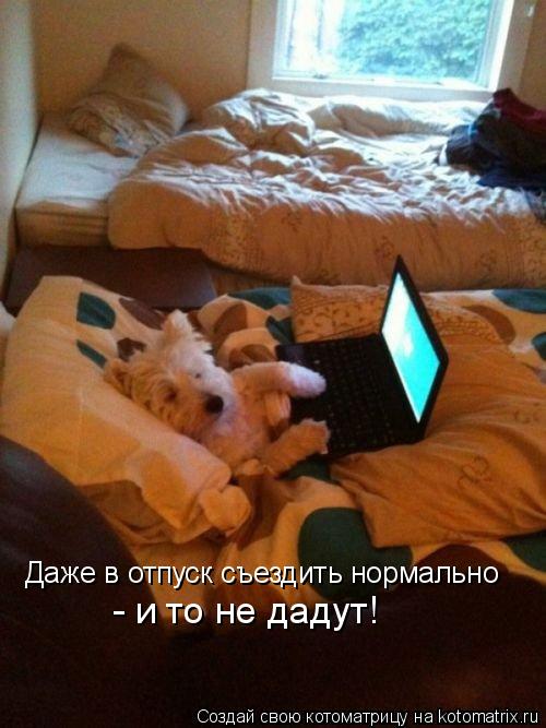 Котоматрица: Даже в отпуск съездить нормально - и то не дадут!