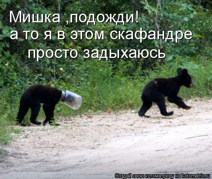 Котоматрица: Мишка ,подожди!  а то я в этом скафандре просто задыхаюсь