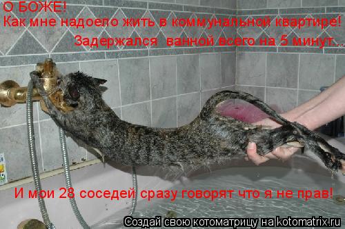 О БОЖЕ! Как мне надоело жить в коммунальной квартире! Задержался ванной всего на 5 минут... И мои 28... Котоматрица: О БОЖЕ! Как мне надоело жить в коммунальной квартире! Задержался ванной всего на 5 минут... И мои 28 соседей сразу говорят что я не прав!