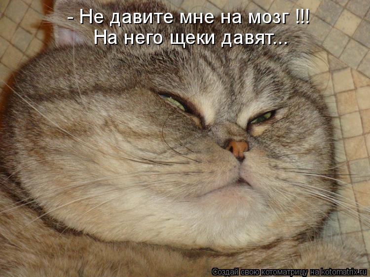 - Не давите мне на мозг !!! На него щеки давят...... Котоматрица: - Не давите мне на мозг !!! На него щеки давят...