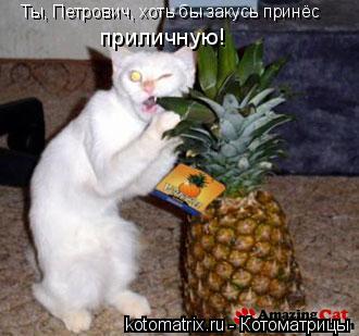 Ты, Петрович, хоть бы закусь принёс приличную!... Котоматрица: Ты, Петрович, хоть бы закусь принёс приличную!
