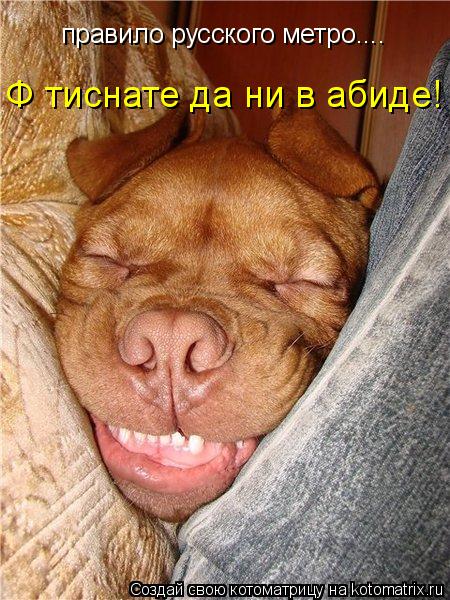 правило русского метро.... Ф тиснате да ни в абиде!... Котоматрица: правило русского метро.... Ф тиснате да ни в абиде!