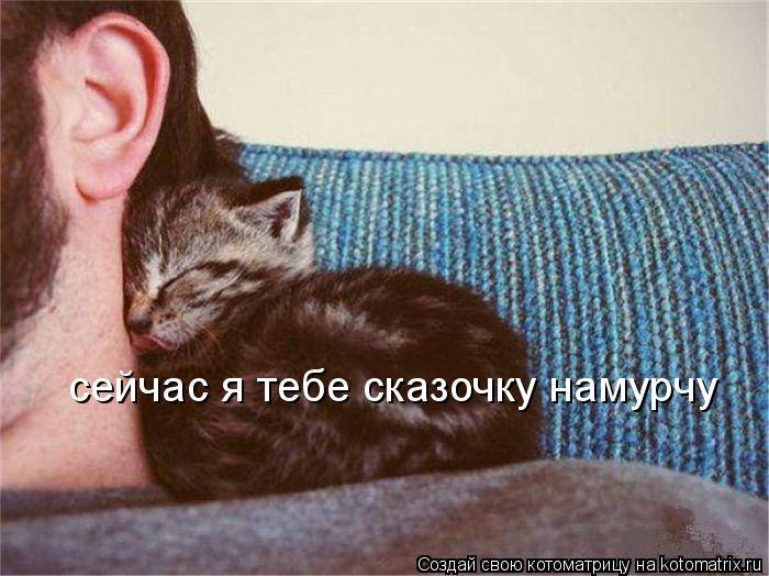 сейчас я тебе сказочку намурчу... Котоматрица: сейчас я тебе сказочку намурчу