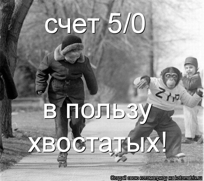 счет 5/0 в пользу хвостатых!... Котоматрица: счет 5/0 в пользу хвостатых!