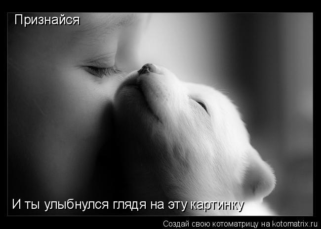 Котоматрица: Признайся  И ты улыбнулся глядя на эту картинку