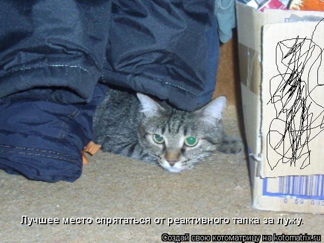 Котоматрица: Лучшее место спрятаться от реактивного тапка за лужу.