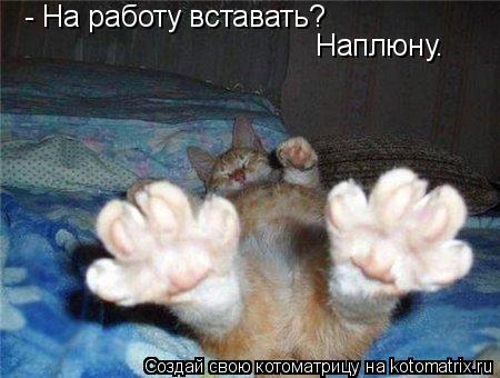 - На работу вставать? Наплюну.... Котоматрица: - На работу вставать? Наплюну.