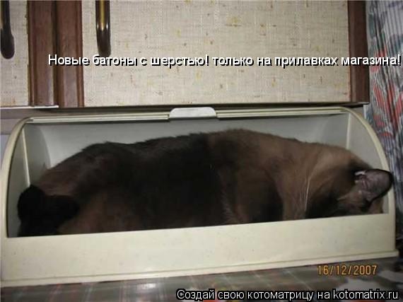 Котоматрица: Новые батоны с шерстью! только на прилавках магазина!