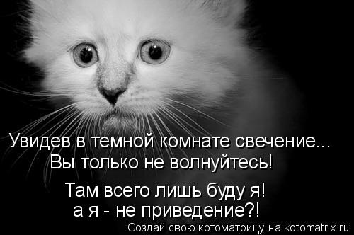 Котоматрица: а я - не приведение?! Увидев в темной комнате свечение... Там всего лишь буду я! Вы только не волнуйтесь!