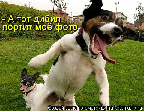 - А тот дибил портит моё фото... Котоматрица: - А тот дибил портит моё фото