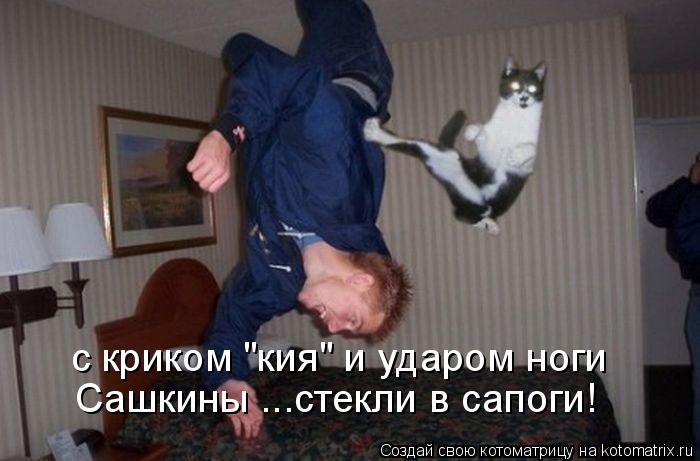 Котоматрица: с криком "кия" и ударом ноги Сашкины ...стекли в сапоги!