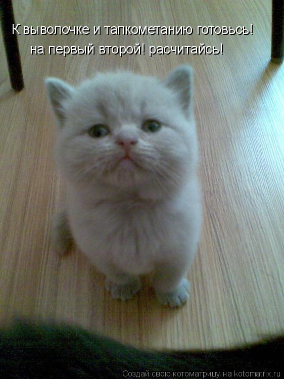 К выволочке и тапкометанию готовьсь! на первый второй! расчитайсь!... Котоматрица: К выволочке и тапкометанию готовьсь! на первый второй! расчитайсь!