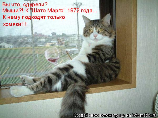 Вы что, сдурели? Мыши?! К "Шато Марго" 1972 года... К нему подходят только хомяки!!!... Котоматрица: Вы что, сдурели? Мыши?! К "Шато Марго" 1972 года... К нему подходят только хомяки!!!